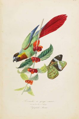 tableau représentant un oiseau et un papillon sur une branche d'arbre