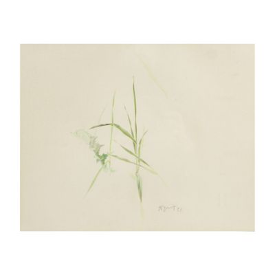 an image of a drawing of a flower on a white background