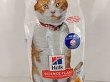 Hill's Science Plan - Croquettes pour chats adultes