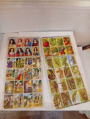 Ensemble d'images à découper: 36 x 25 cm.