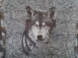 une photo en noir et blanc d'un loup dans l'herbe