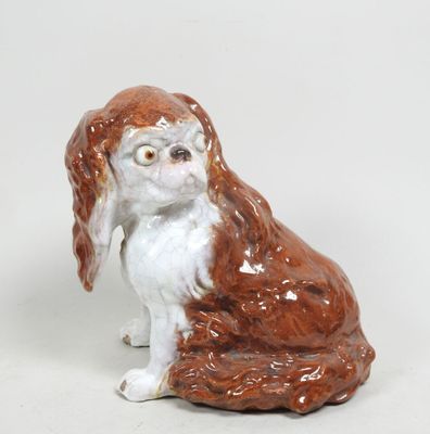 un chien brun et blanc assis sur une surface blanche
