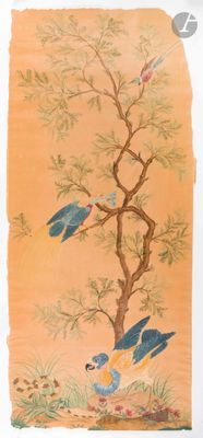 deux oiseaux perchés sur les branches d'un arbre