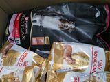 several bags of dog food in a cardboard box on top of a table