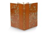 l'image d'un livre à la couverture marron sur fond blanc