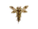 un gros plan d'un petit insecte sur une surface blanche
