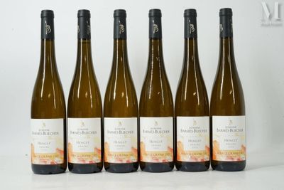 six bottles of white wine are lined up on a table