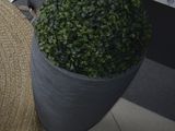 a cat sitting on a rug on the floor next to a potted plant