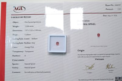 a certificate with a picture of a red diamond on it