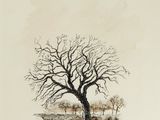 une image représentant un dessin d'un arbre nu dans un champ