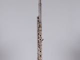 an image of a silver flute on a clear stand on a gray background