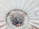 a clear glass plate with a circular design on it