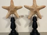 pair of starfish figurines sitting on top of a black table