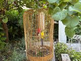 a bird in a cage sitting on a table in a garden