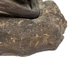 a close up of a statue of a dog on a rock