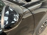 a close up of a car ' s side door with a dog sticking out of it ' s window