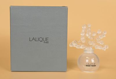 a close up of a bottle of perfume next to a box