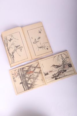 trois livres illustrés d'oiseaux et de fleurs