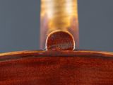 a close up of the back of a violin with a wooden neck
