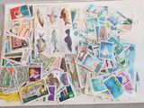 a white tray with stamps on it on a table