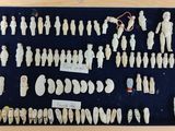 a lot of small figurines on display in a wooden frame