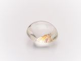 a clear glass object with a shell inside of it