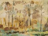 une image représentant une aquarelle représentant des arbres dans une forêt