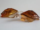 deux figurines de tortues en verre posées sur une surface blanche