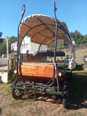 a horse drawn carriage that is parked in the grass