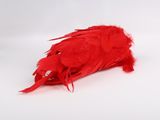 a red bird that is laying on a white surface