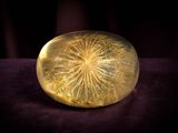 a glass object that looks like a dandelion
