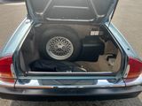 a trunk of a car with a tire in it