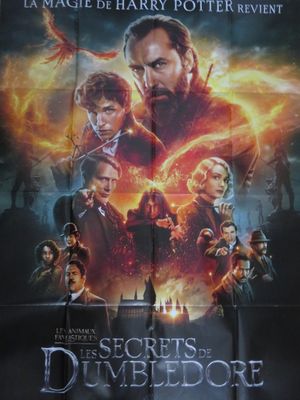 une affiche du film « Le secret de Dumbbeord »