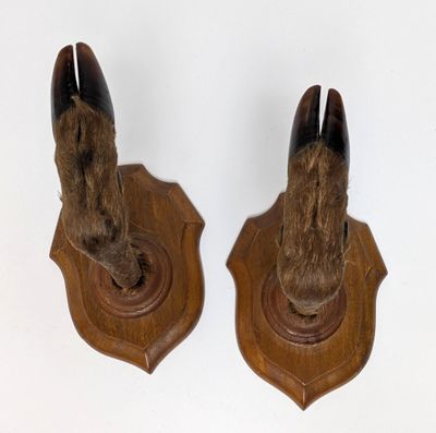 paire de têtes d'animaux sculptées dans le bois, fixées au mur