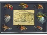 une photo d'une collection de mouches de pêche à la mouche présentée dans un cadre vitré