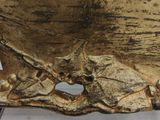 a close up of a piece of wood with a hole in it