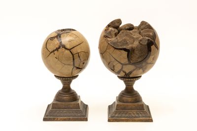 Deux sphères géodes en septaria, laissant apparaître leur st…