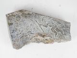 a stone with a design on it on a white surface