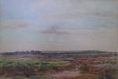 an image of a painting of a field with a sky background