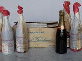 several bottles of champagne are lined up on a table