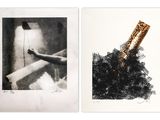 two black and white photographs of a giraffe and a person in a bathtub