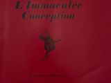 la couverture d'un livre rouge sur laquelle figure l'image d'un homme sur un skateboard