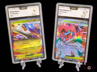 Deux cartes Pokémon sont présentées dans des pochettes en plastique transparent sur un fond noir.