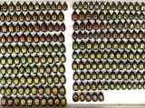 a white box filled with lots of green and yellow beetles