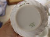 a person holding a cup and saucer in their hand