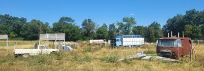 many old trucks parked in a field with trees in the background