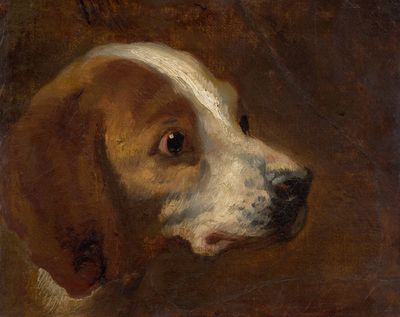 tableau représentant un chien brun et blanc avec une tache blanche sur le museau