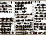 a lot of beetles that are on the wall