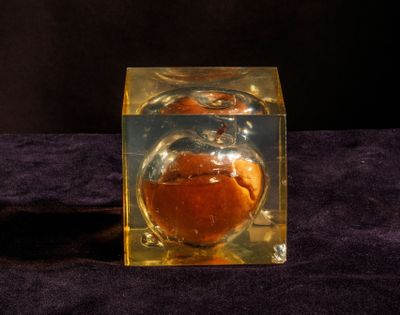 une orange dans un cube en verre transparent posé sur un tissu violet