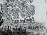 a black and white drawing of cows in a field